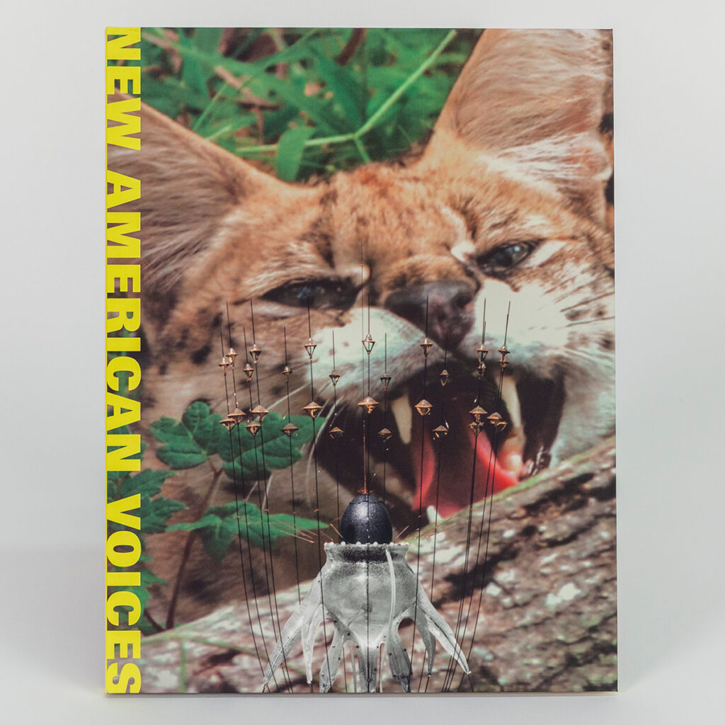 Book cover titled New American Voices with bold yellow text along the left edge, featuring a snarling wildcat in the background and a surreal sculptural form with spindly wires in the foreground.