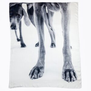 A white silk scarf with a digitally printed black and white photograph by artist William Wegman of a Weimaraner's paws with two other Weimaraners cut off in the top left corner.