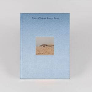 A sky-blue book, taller than it is wide, featuring a square photograph of a beach at its center. The text reads, 