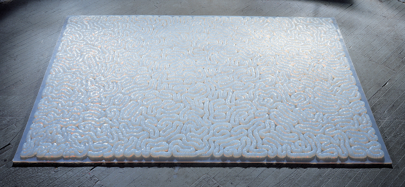 Object documentation view of the sculpture titled "Entrails Carpet" by Mona Hatoum.