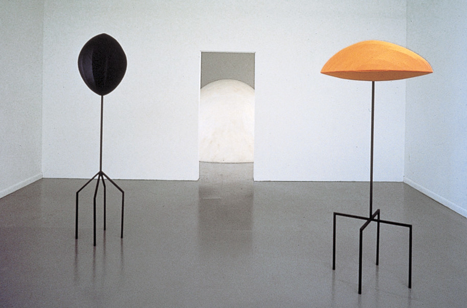 Jene Highstein, "Jene Highstein: New Work," Exhibition View, 1989