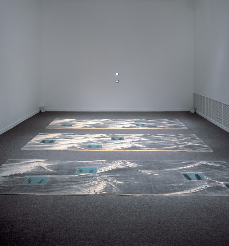 An exhibition view of Lorna Simpson’s installation titled “Standing in the Water”