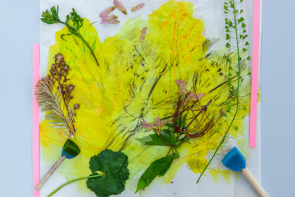 A yellow pastel drawing with various leaves, stems, and seeds strewn over top. There are marks made over the yellow that suggest a kind of textured rubbing from the plant specimens.