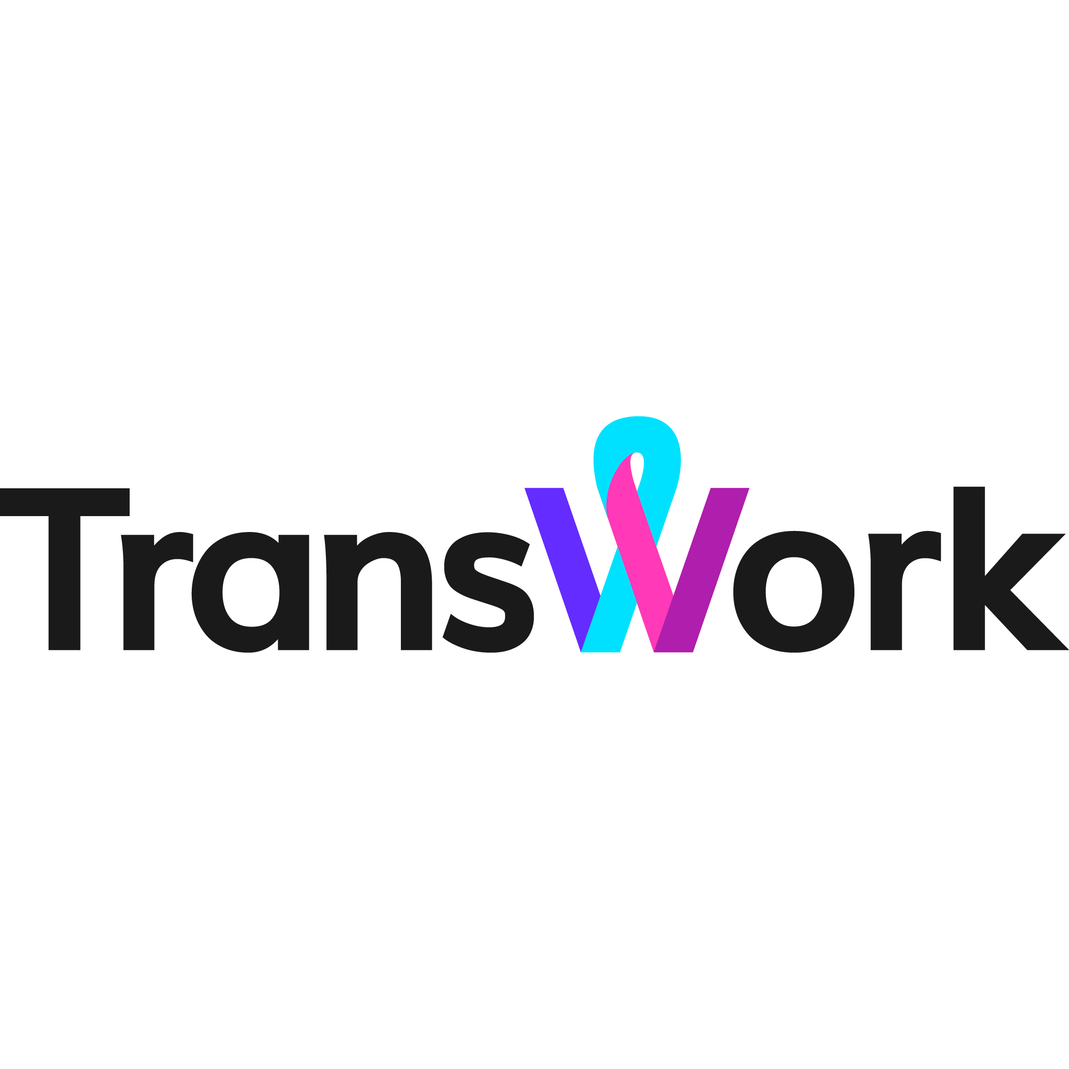 TransWork logo