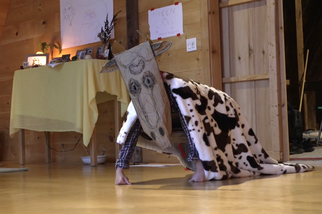 A performer crawls on all fours while wearing a black and white spotted cow jumper and a cow mask created from cardboard.