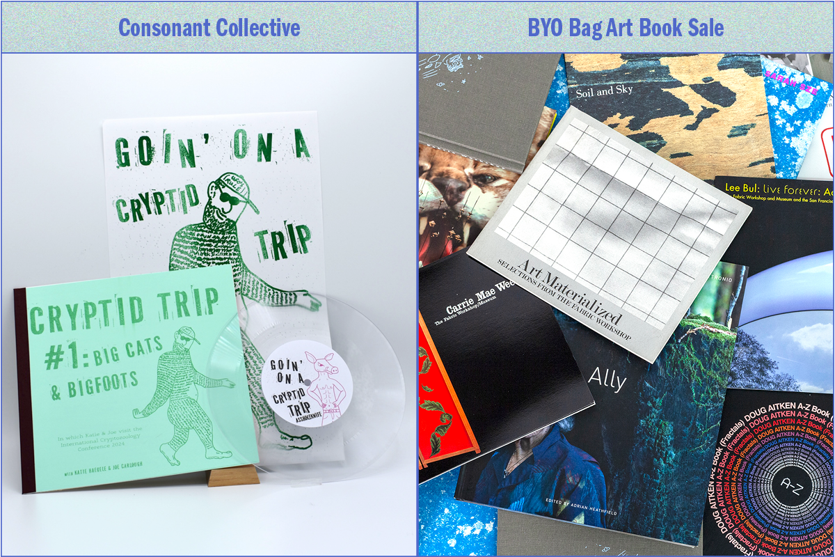 A graphic featuring two photographs. The photo on the left features a zine, a DIY book publication, and a DIY 7