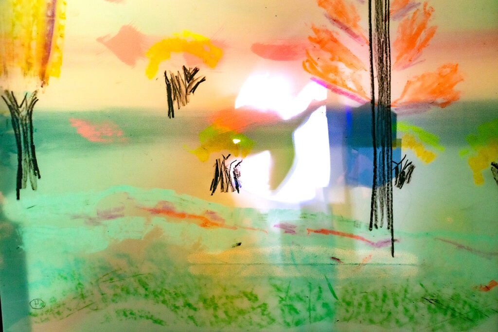 A gestural drawing of a landscape with trees on transparent paper. There is a light shining through the paper, revealing the shadow of a flying bird.